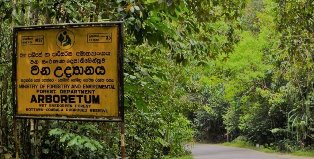 Peace Pagoda - Roomassala